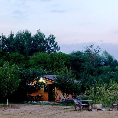 La Livada Villa Valea Danului Екстериор снимка
