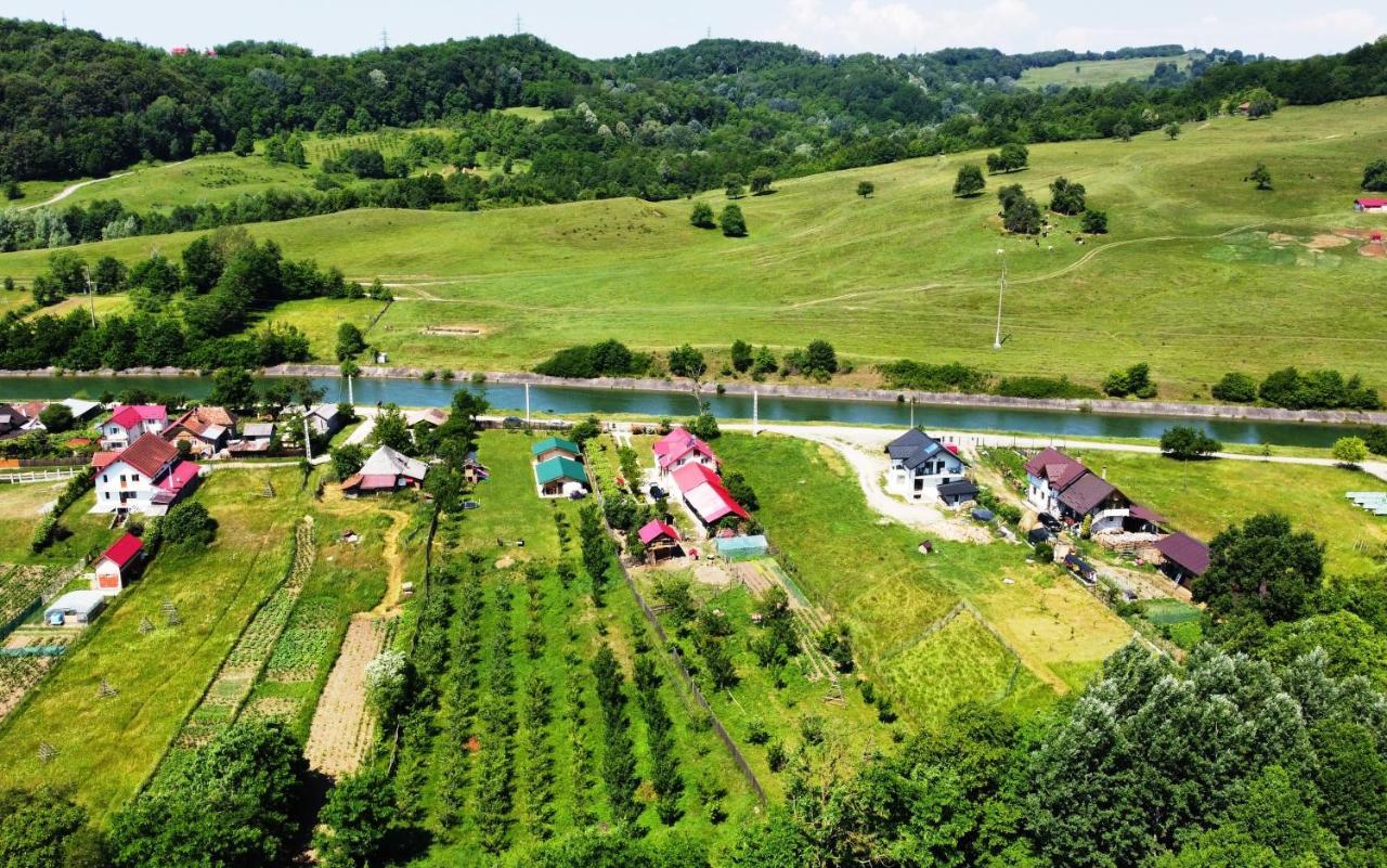 La Livada Villa Valea Danului Екстериор снимка