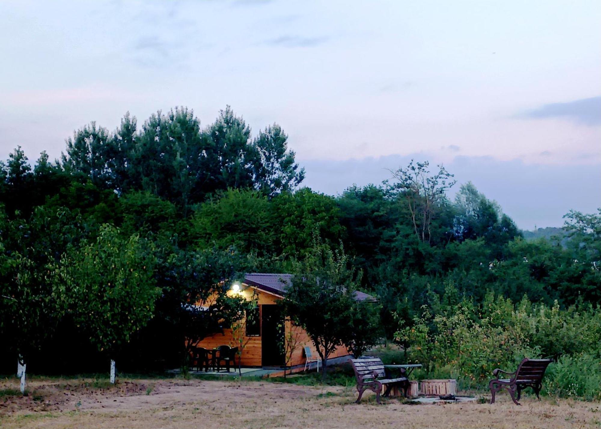 La Livada Villa Valea Danului Екстериор снимка